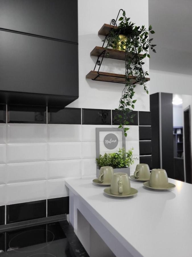 Sky Lux Apartmani Surčin 外观 照片